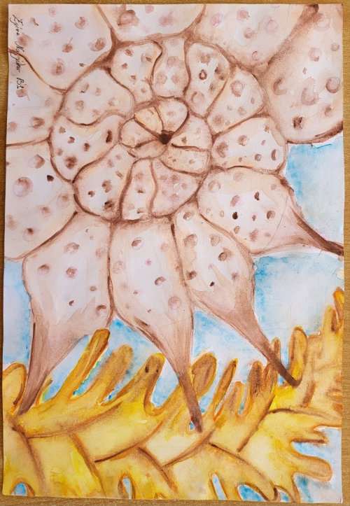 ΝΑΖΛΙΔΟΥ ΕΛΙΝΑ Β1