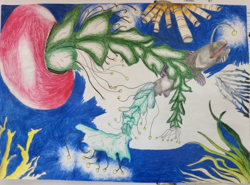 ΧΡΙΣΤΟΦΟΡΟΥ ΑΝΤΡΕΑΣ Β1